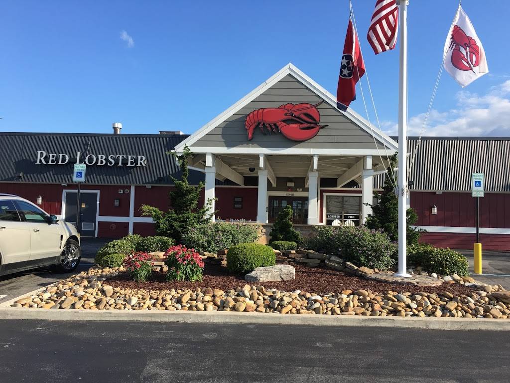 Red Lobster | restaurant | 8040 Kingston Pike, Knoxville, TN 37919, USA | 8656934651 OR +1 865-693-4651