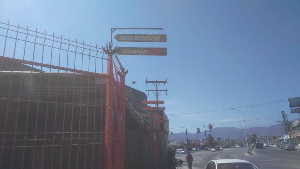 La Granja barbacoa borrego | restaurant | Bahia Ensenada, 22880 Ensenada, B.C., Mexico | 016461218231 OR +52 646 121 8231