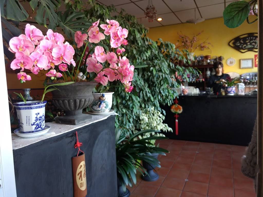 Daisy Restaurant | restaurant | 1200 Lansdowne St W, Peterborough, ON K9J 2A1, Canada | 7058768678 OR +1 705-876-8678