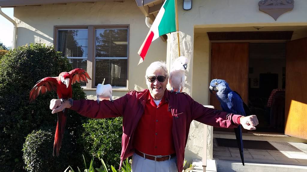 Italian-American Social Club | restaurant | 958 Oak Ln, Menlo Park, CA 94025, USA | 6503228933 OR +1 650-322-8933