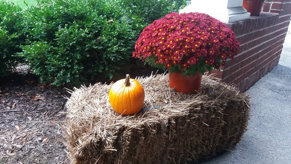 Mahoning Valley Country Club | restaurant | 323 Country Club Rd, Lehighton, PA 18235, USA | 5703862588 OR +1 570-386-2588