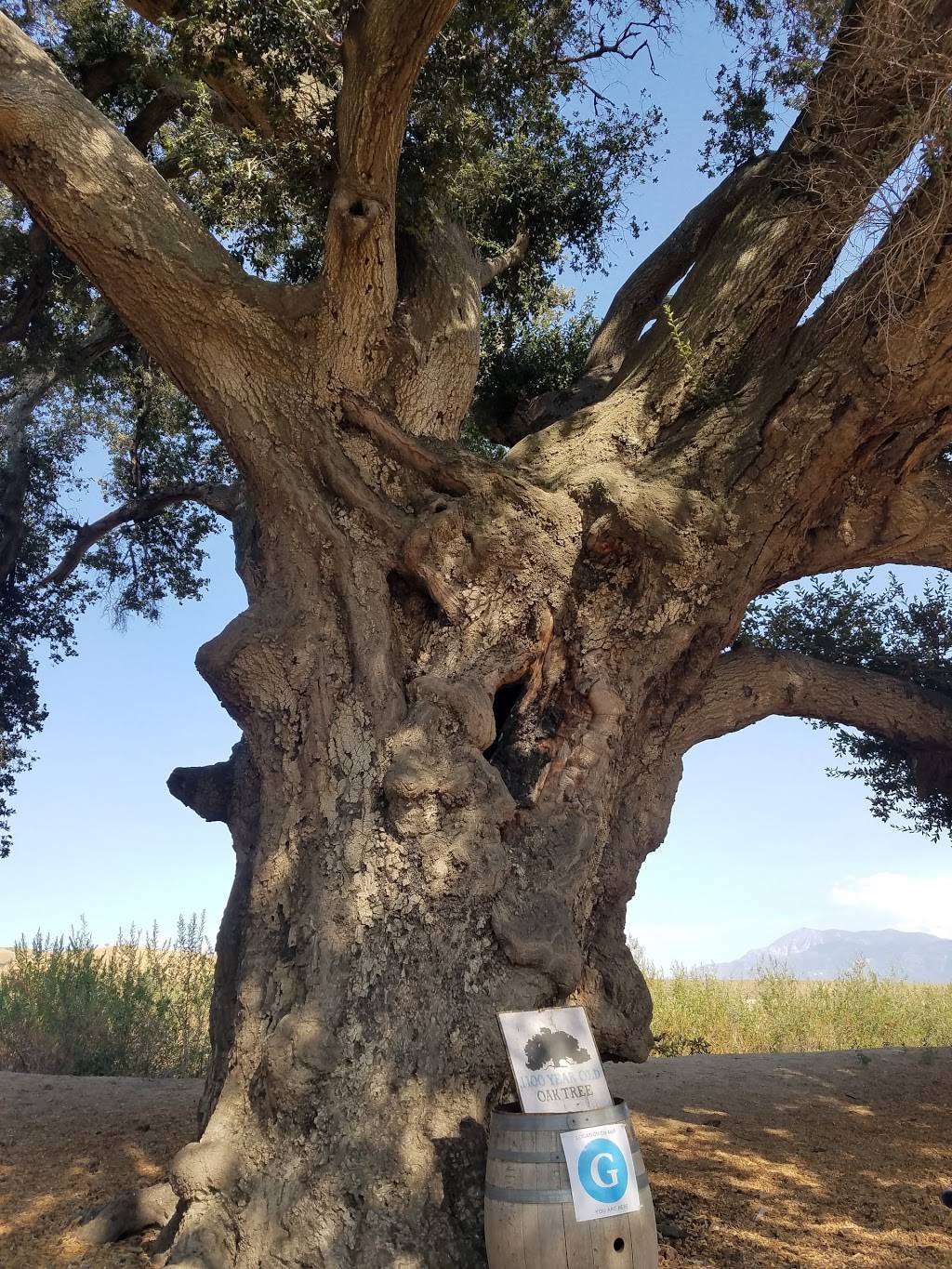 Highland Springs Ranch & Inn | restaurant | 10600 Highland Springs Ave, Cherry Valley, CA 92223, USA | 9518451151 OR +1 951-845-1151