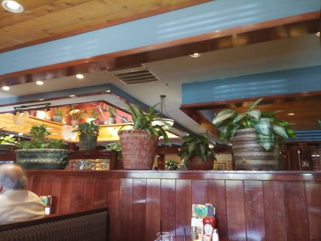 Cheddars Scratch Kitchen | restaurant | 3000 Franklin Terrace Drive, Johnson City, TN 37604, USA | 4232620087 OR +1 423-262-0087