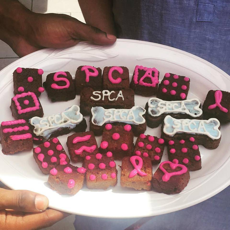 Charlottesville Dog Barkery | bakery | 1652 Old Lynchburg Rd, Charlottesville, VA 22903, USA | 4342828186 OR +1 434-282-8186