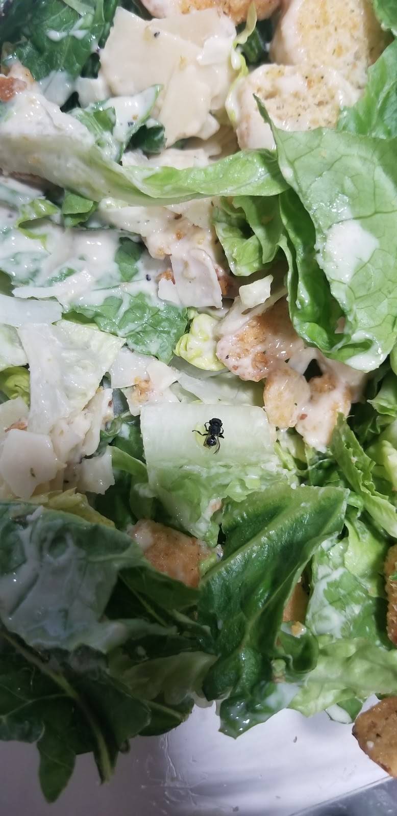 DAngelo Grilled Sandwiches | restaurant | 1606 Memorial Dr, Chicopee, MA 01013, USA | 4135339486 OR +1 413-533-9486