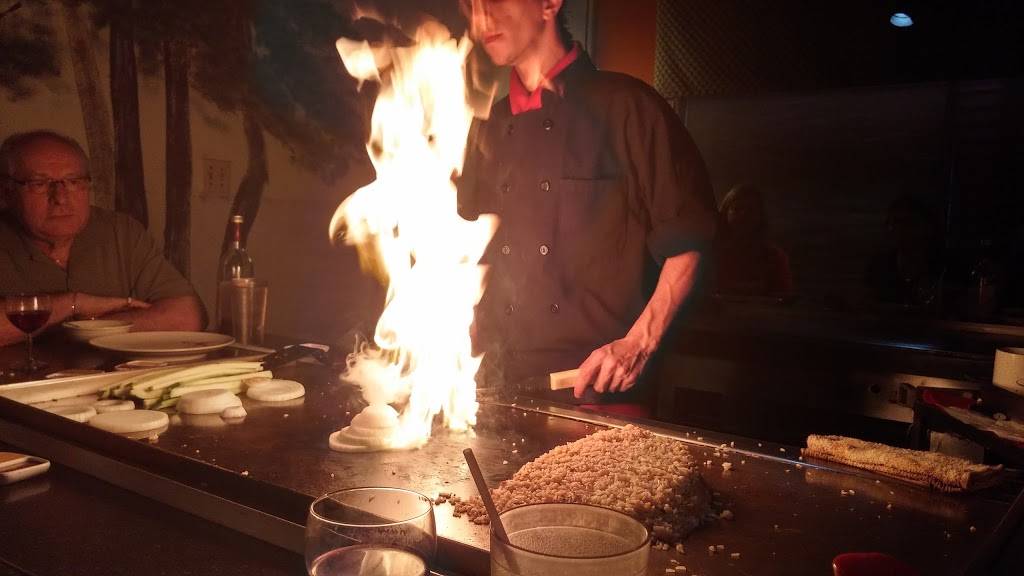 Shogun Japanese Steakhouse | restaurant | 1219 U.S. 41 Bypass, Venice, FL 34285, USA | 9414858746 OR +1 941-485-8746