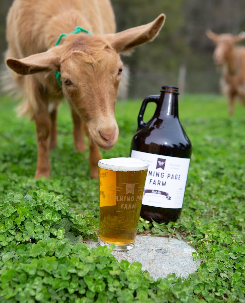Turning Page Farm Brewery | restaurant | 842 N Guilford Rd, Monson, ME 04464, USA | 2078766360 OR +1 207-876-6360