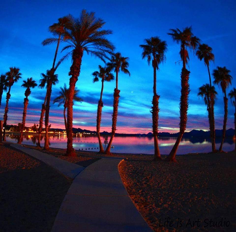 Ameci Pizza Kitchen | meal delivery | 648 E First St, Tustin, CA 92780, USA | 7143681446 OR +1 714-368-1446