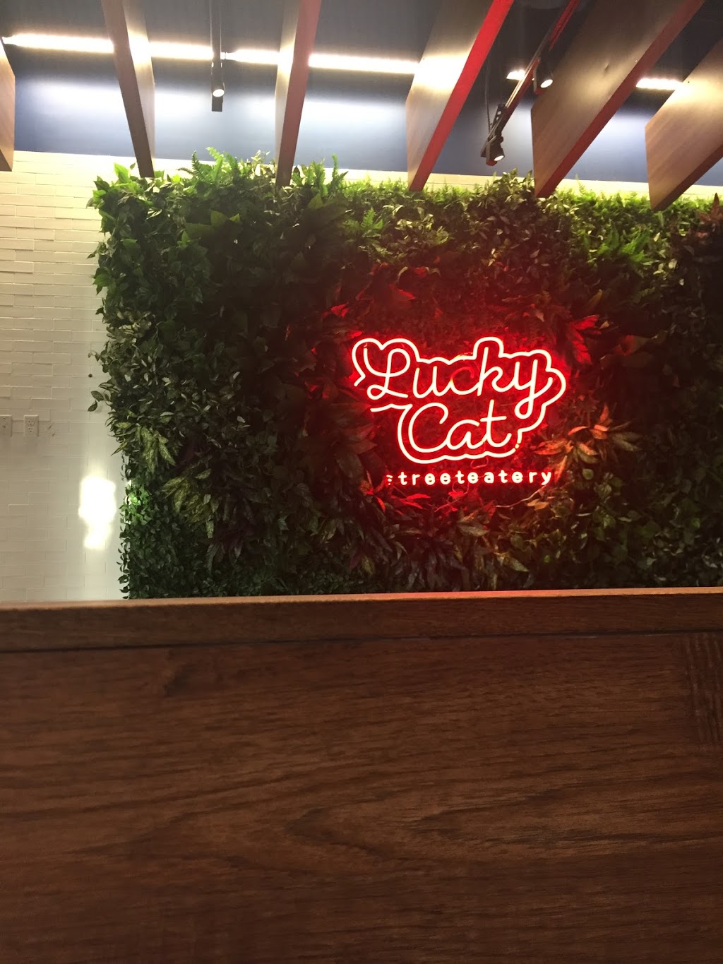 LUCKY CAT STREET EATERY | restaurant | 6322 N Andrews Ave, Fort Lauderdale, FL 33309, USA | 9549095301 OR +1 954-909-5301