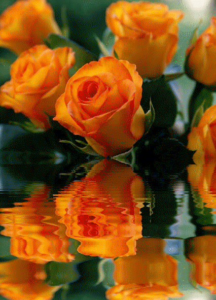 Larimar | restaurant | 213 E 170th St, Bronx, NY 10456, USA | 7184508109 OR +1 718-450-8109