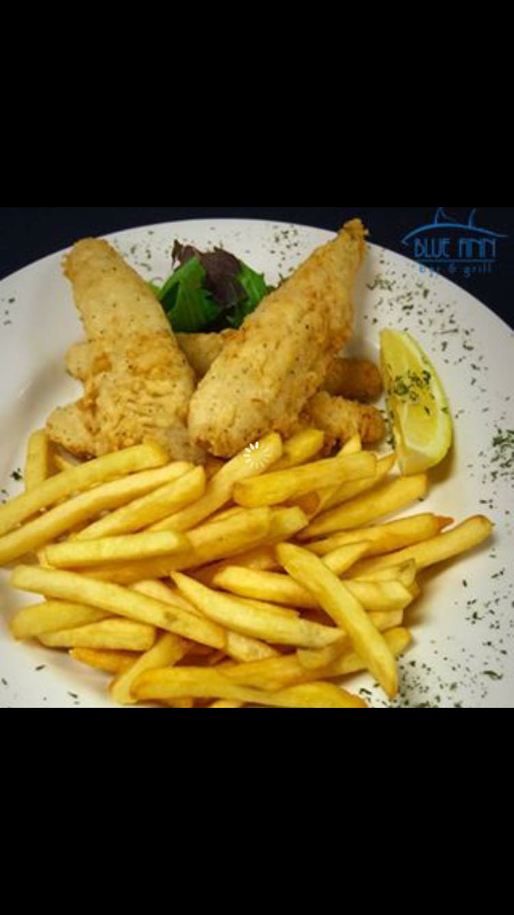 BLUE FINN BAR & GRILL | restaurant | 13330 E 10 Mile Rd, Warren, MI 48089, USA | 5867559110 OR +1 586-755-9110