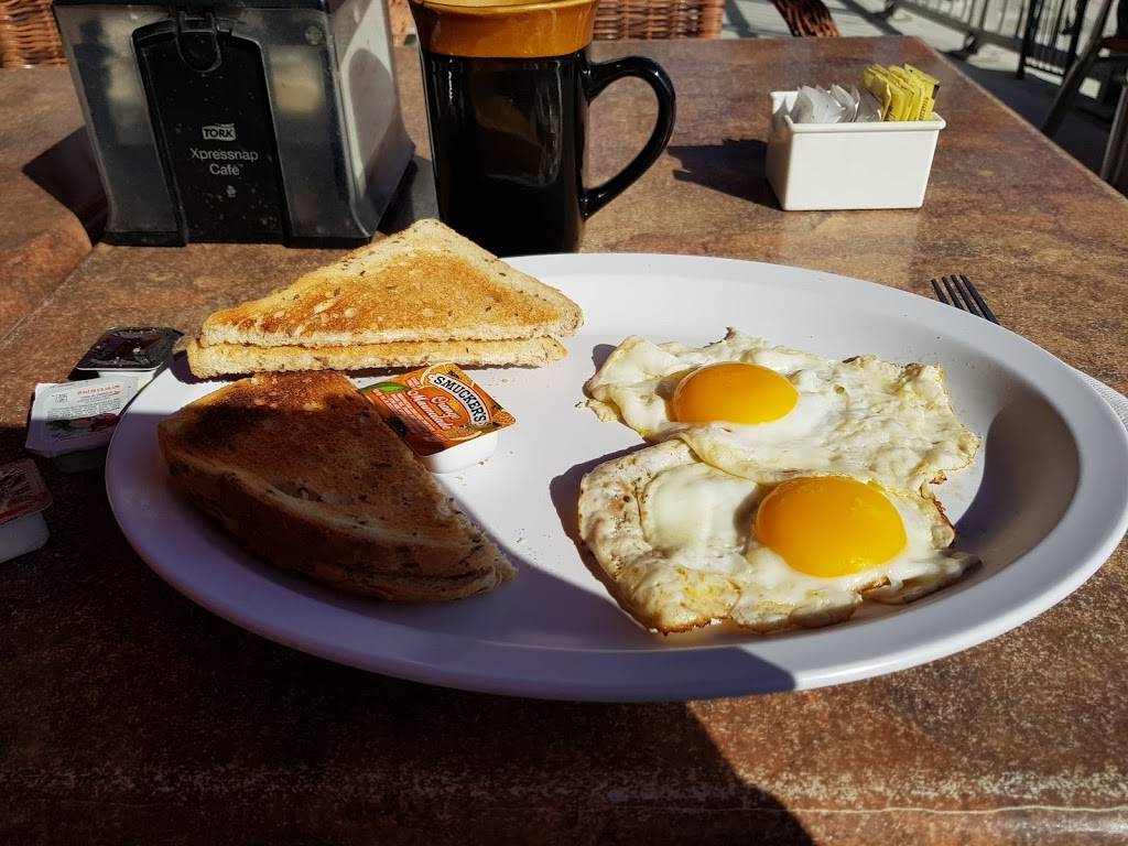 Ocean View Delight | cafe | 845 N Fort Lauderdale Beach Blvd, Fort Lauderdale, FL 33304, USA | 9546301351 OR +1 954-630-1351