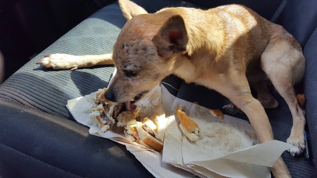 McDonalds | cafe | 9150 Lawyers Rd, Mint Hill, NC 28227, USA | 7045456210 OR +1 704-545-6210