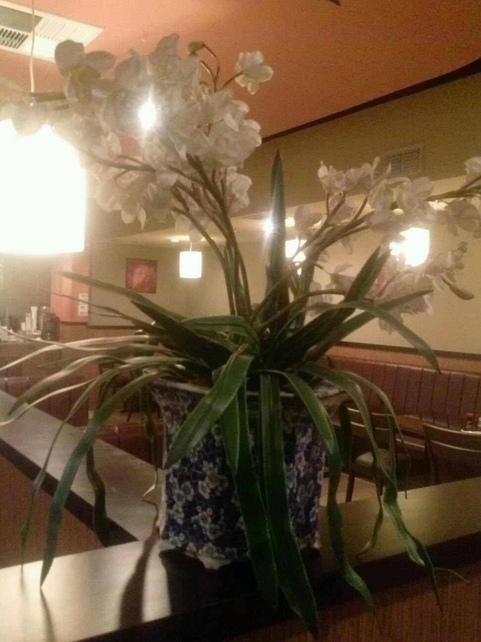 China A Gogo | meal delivery | 5841 E Charleston Blvd, Las Vegas, NV 89142, USA | 7024320234 OR +1 702-432-0234