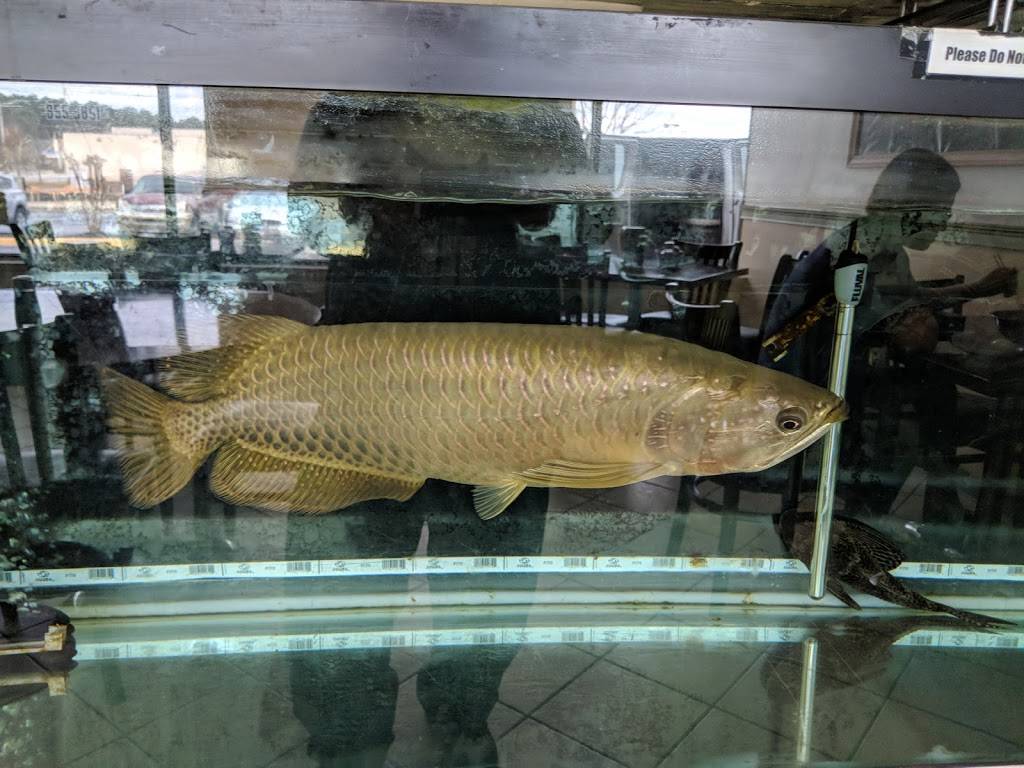 Great Wall | restaurant | 500 Furys Ferry Rd #104, Augusta, GA 30907, USA | 7068558851 OR +1 706-855-8851