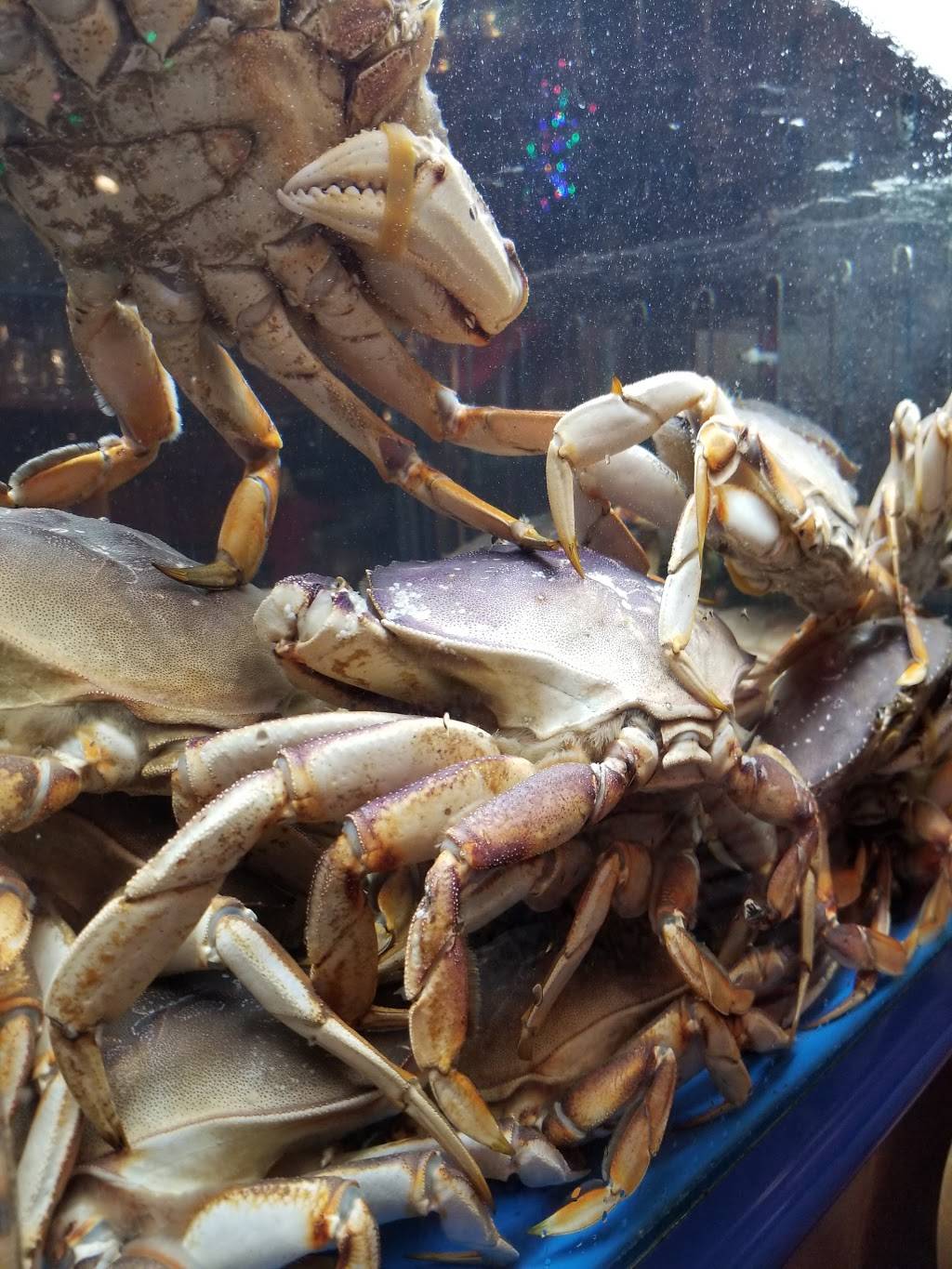 Free Time Hangout | restaurant | 2170 86th St, Brooklyn, NY 11214, USA | 7182668900 OR +1 718-266-8900