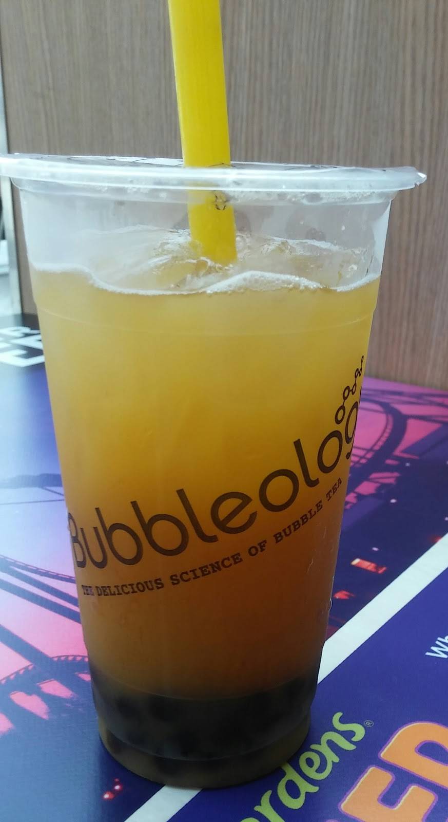 Bubbleology | cafe | 8021 Citrus Park Town Center Mall Store 9055, Tampa, FL 33625, USA | 8137921876 OR +1 813-792-1876
