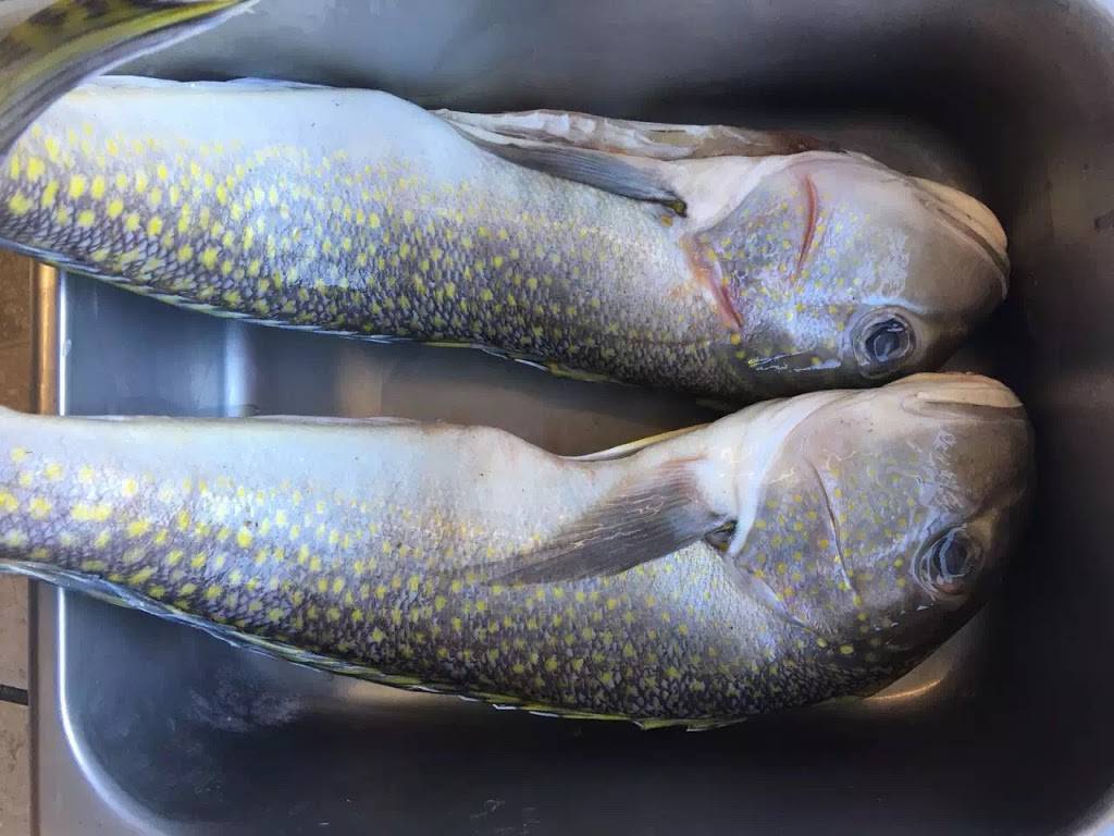 WILD ATLANTIC SEAFOOD | restaurant | 622 Cassat Ave, Jacksonville, FL 32205, USA | 9045517595 OR +1 904-551-7595