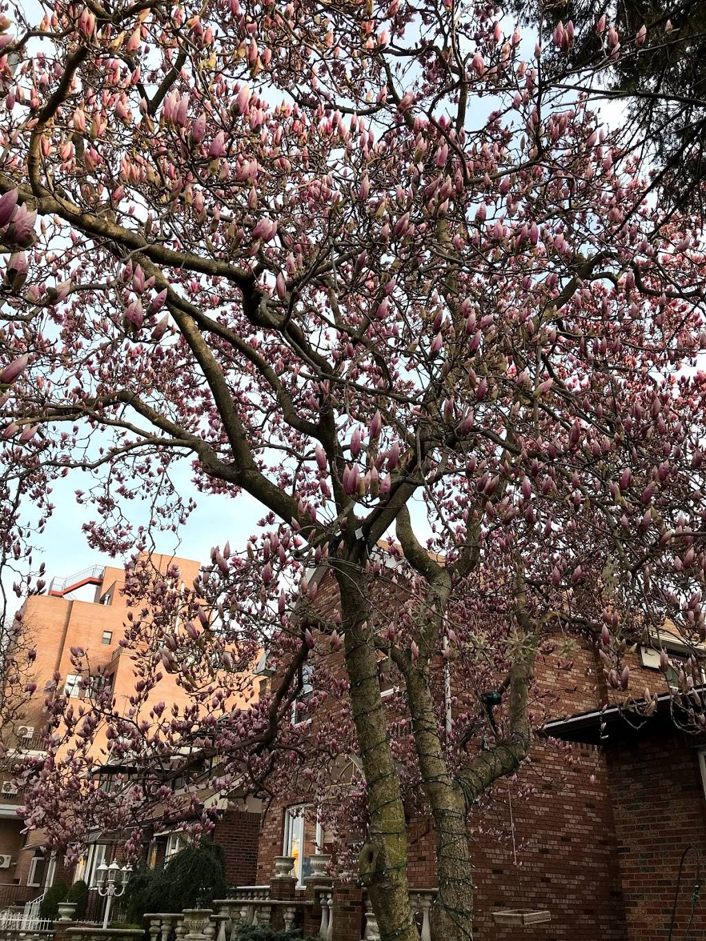 Subway Restaurants | restaurant | 6724 Bay Pkwy, Brooklyn, NY 11204, USA | 3474923888 OR +1 347-492-3888