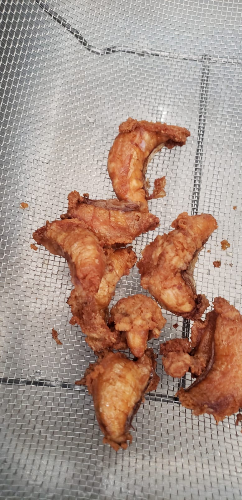 First Crazy Fish | restaurant | 6994 Pembroke Rd, Pembroke Pines, FL 33023, USA | 7867928726 OR +1 786-792-8726