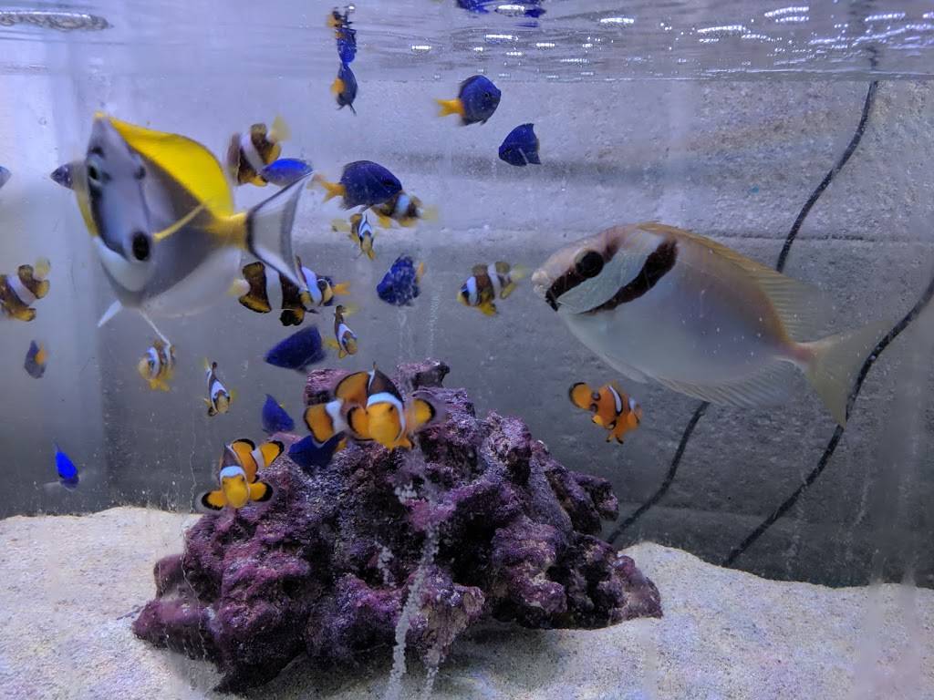 Gulf Gate Business Directory | shopping mall | 6612 Gateway Ave, Sarasota, FL 34231, USA | 9417248604 OR +1 941-724-8604