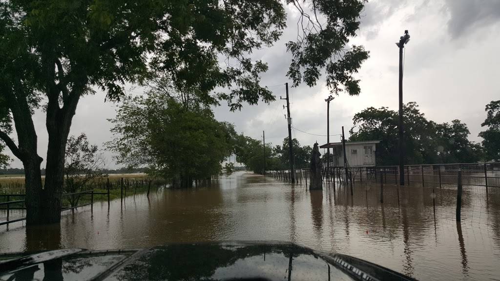 Old Trading Post | restaurant | 9903 FM 2759 Rd, Richmond, TX 77469, USA | 2815458064 OR +1 281-545-8064