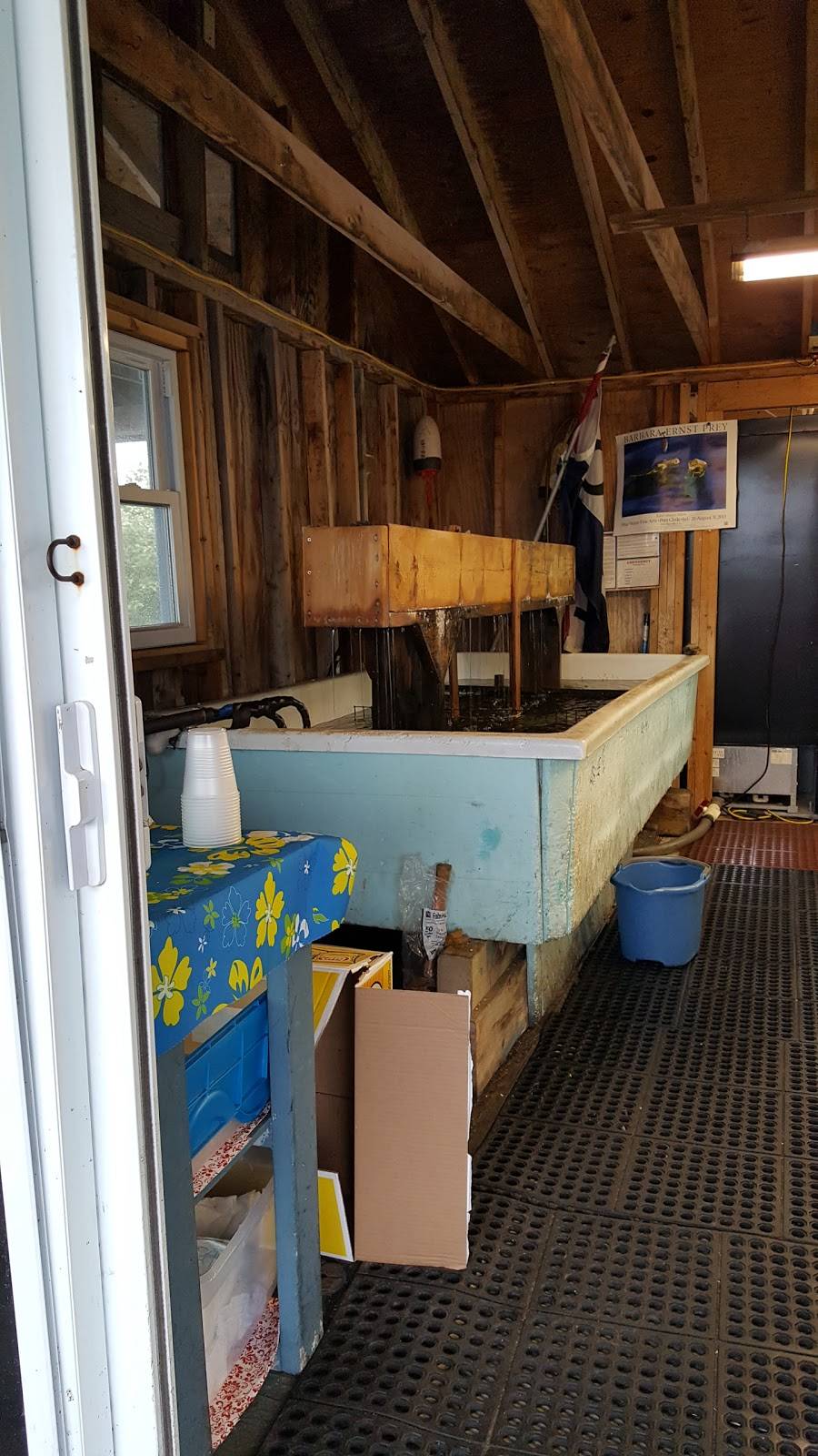 Watermans Beach Lobster | restaurant | 343 Waterman Beach Rd, South Thomaston, ME 04858, USA | 2075967819 OR +1 207-596-7819