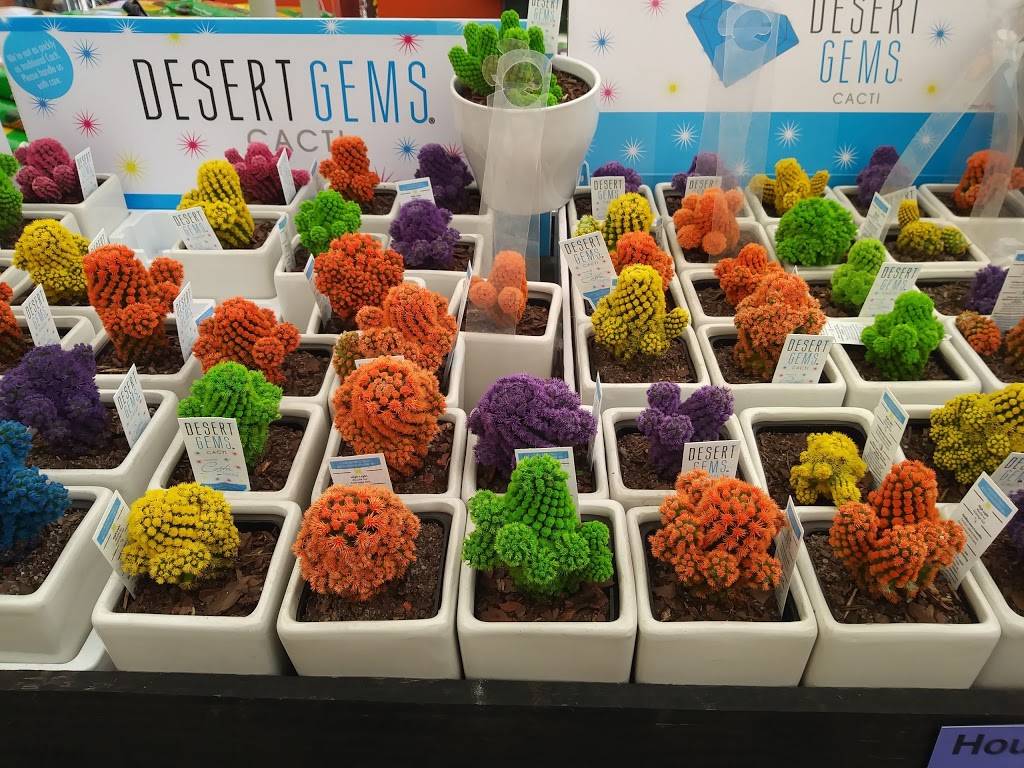 Concord Shopping Plaza | shopping mall | 11381 SW 40th St, Miami, FL 33165, USA | 3059471664 OR +1 305-947-1664