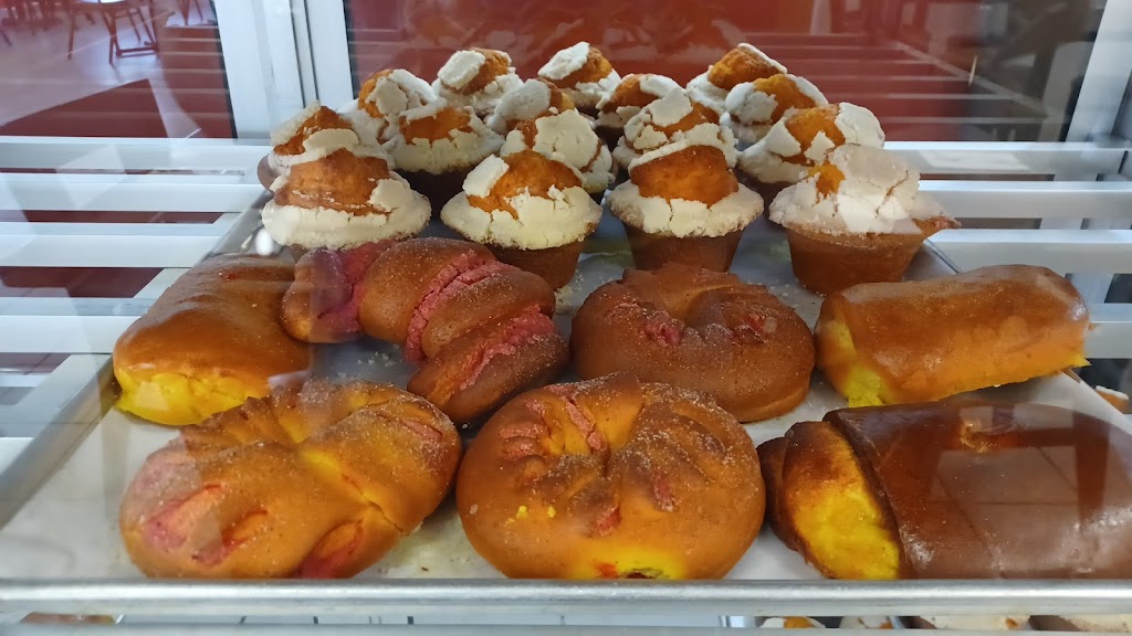 “La Mies” Restaurante | restaurant | 2803 Zacatecas St, Laredo, TX 78046, USA | 9565680287 OR +1 956-568-0287