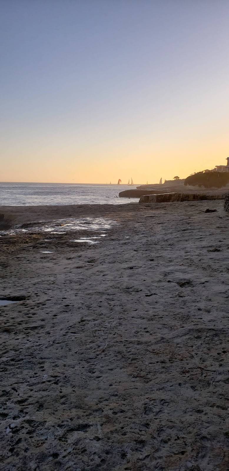 Starbucks | cafe | 21620 E Cliff Dr, Santa Cruz, CA 95062, USA | 8312123489 OR +1 831-212-3489