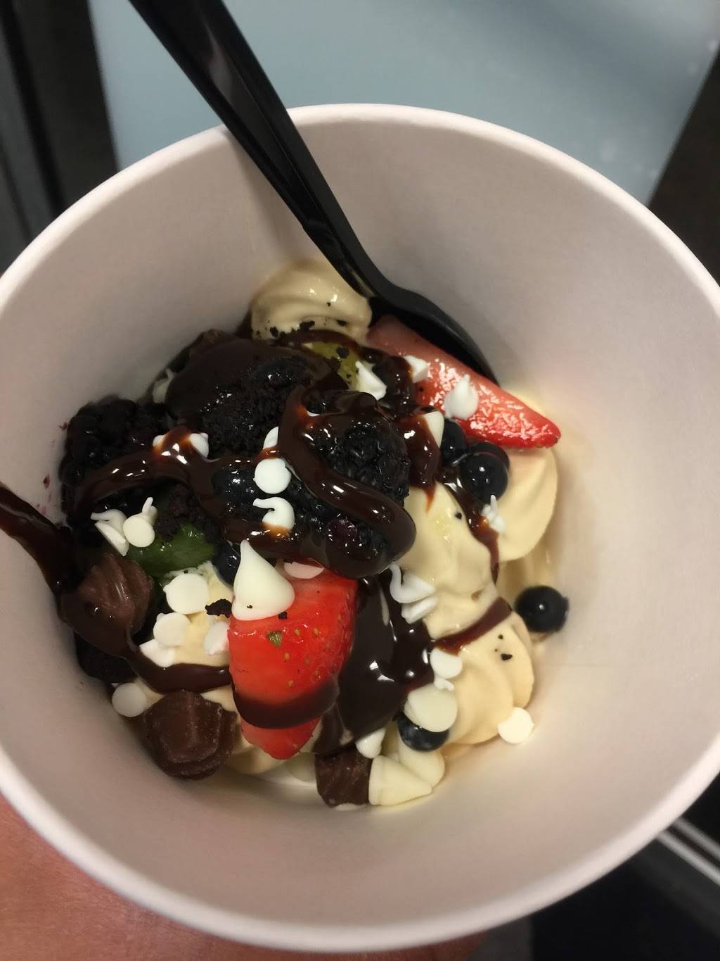 Yogurtology | restaurant | 5017, 1202 S Church Ave suite c, Tampa, FL 33629, USA | 8132512717 OR +1 813-251-2717