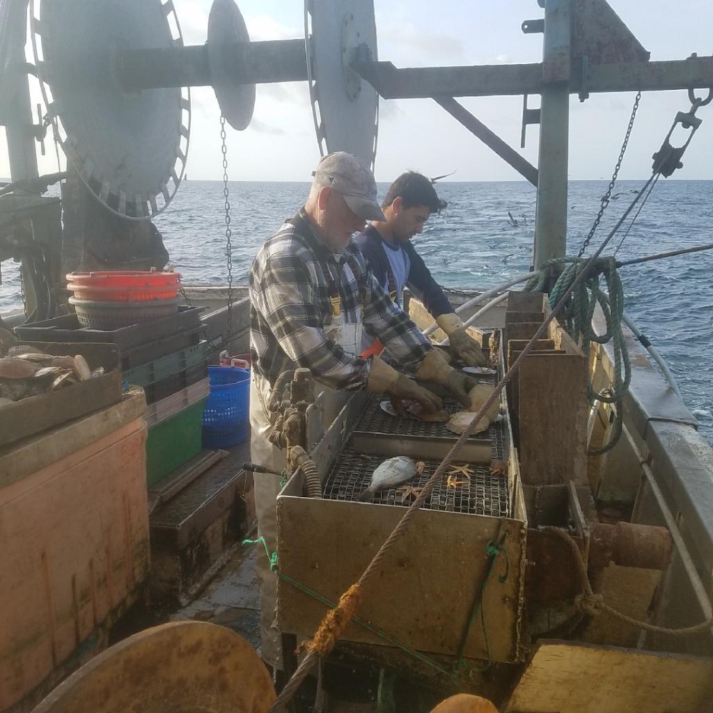 Red Truck Seafood | restaurant | 87 Foster Ave, Hampton Bays, NY 11946, USA | 6317239872 OR +1 631-723-9872