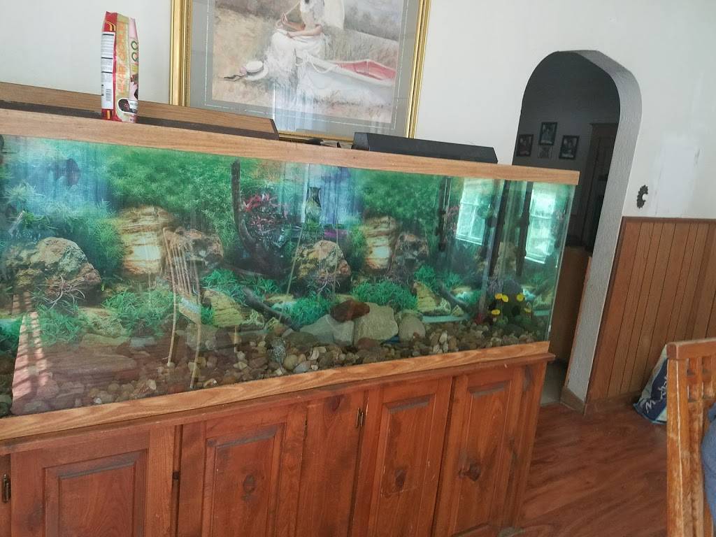 Curve Cafe | cafe | 3407 Lincolnway E, Mishawaka, IN 46544, USA | 5742525800 OR +1 574-252-5800