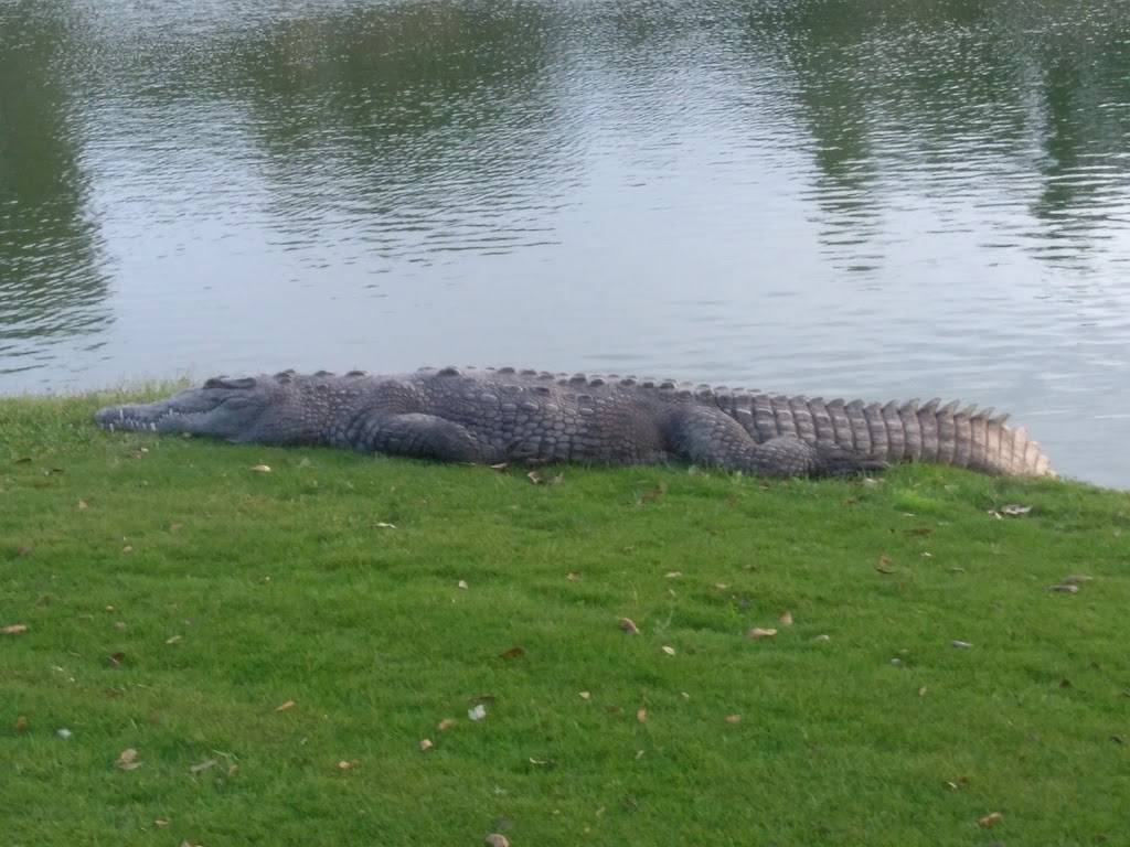 Deering Bay Yacht & Country Club | restaurant | 13610 Deering Bay Dr, Miami, FL 33158, USA | 3052542111 OR +1 305-254-2111