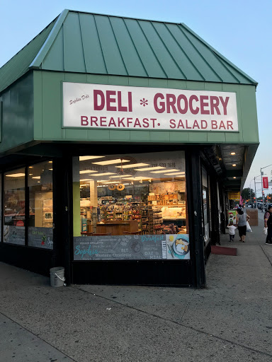Sophia Deli & Grocery | restaurant | 57-01 Main St, Queens, NY 11355, USA | 7185391616 OR +1 718-539-1616