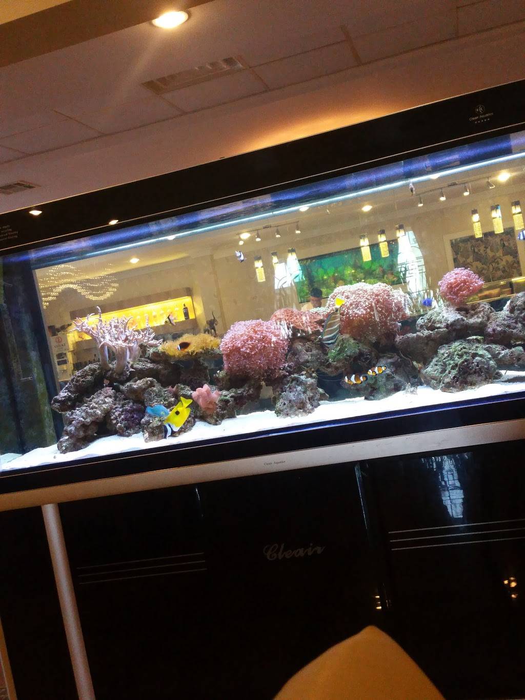 Akira Sushi Hibachi | restaurant | 3226 N Arnoult Rd, Metairie, LA 70002, USA | 5043048820 OR +1 504-304-8820