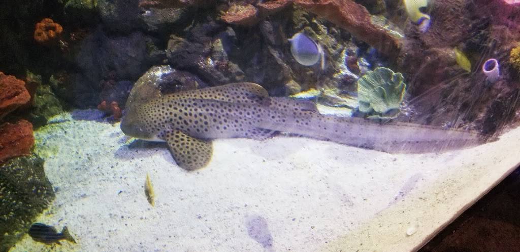 Bys | restaurant | 2901 4th Ave S, Seattle, WA 98134, USA | 2066229901 OR +1 206-622-9901