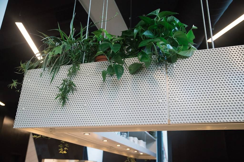 Broccoli Bar | restaurant | 1817 7th St NW, Washington, DC 20001, USA | 2028398576 OR +1 202-839-8576