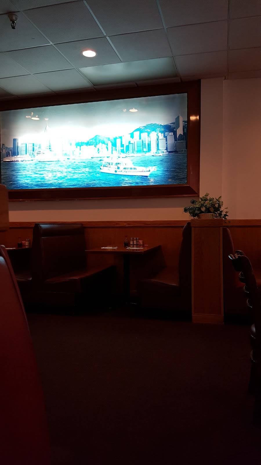 New China | restaurant | 1997, 1013 Amelia Plaza, Fernandina Beach, FL 32034, USA | 9042616598 OR +1 904-261-6598