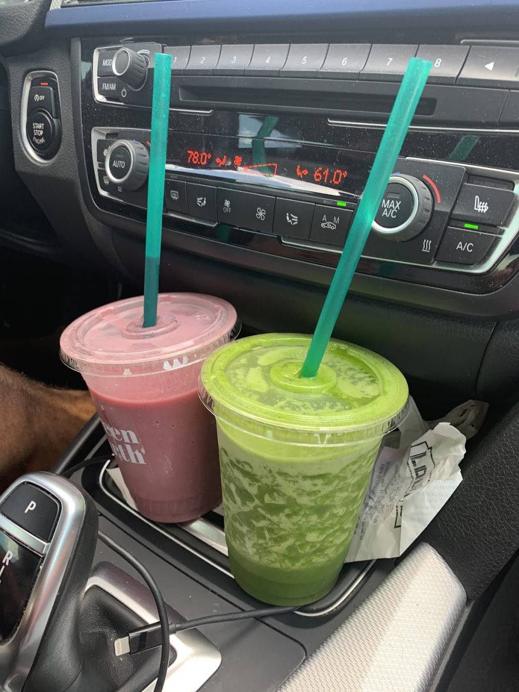 Green Earth | restaurant | 2400 N Shepherd Dr, Houston, TX 77008, USA | 8324096699 OR +1 832-409-6699