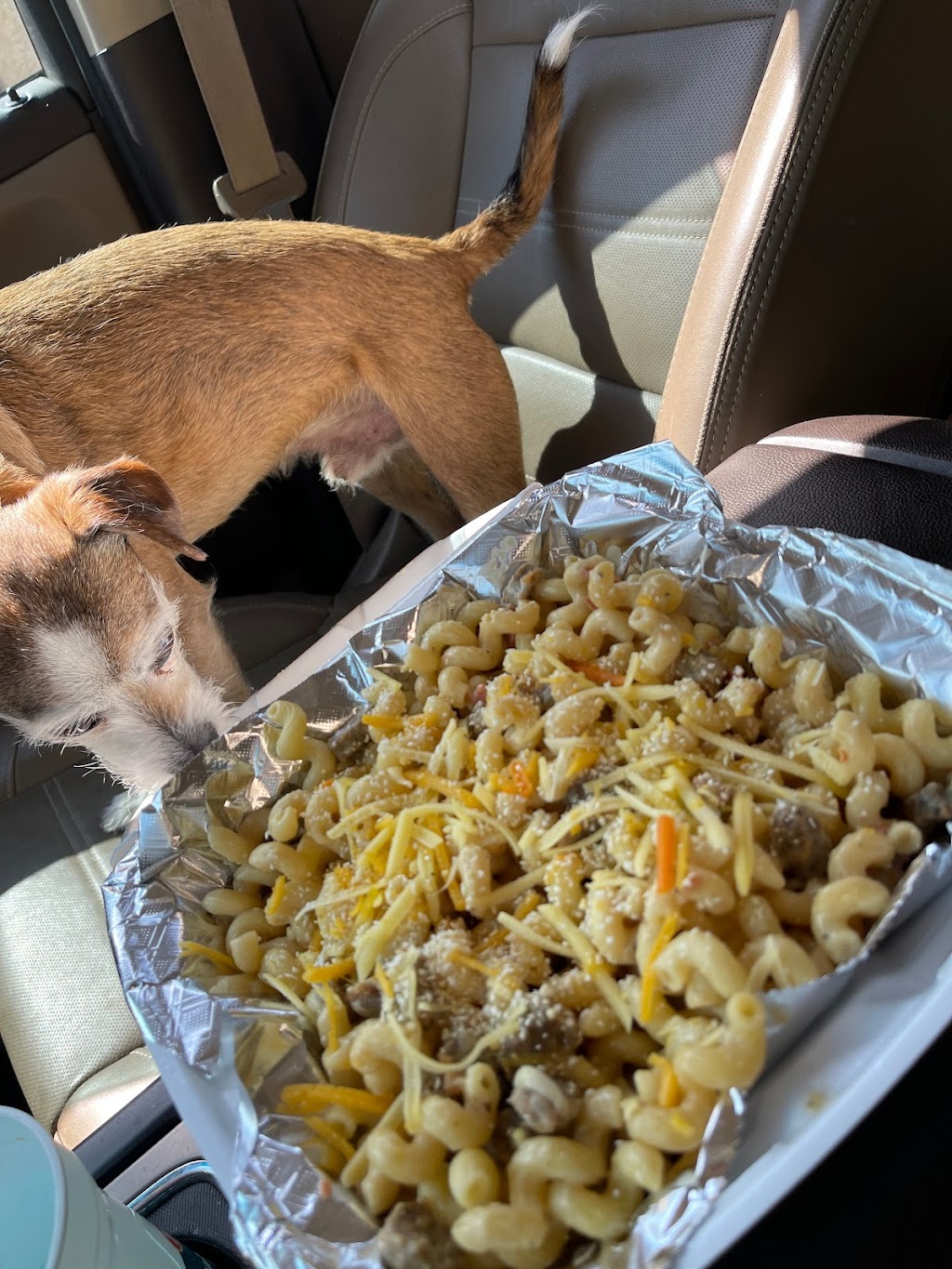 The Brunch Truck of Amarillo | restaurant | 213 SW 7th Ave, Amarillo, TX 79101, USA | 8063734199 OR +1 806-373-4199