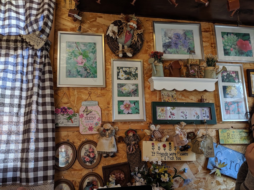 Best Little Dog House | restaurant | 206 S Main St, Creede, CO 81130, USA | 7196583000 OR +1 719-658-3000