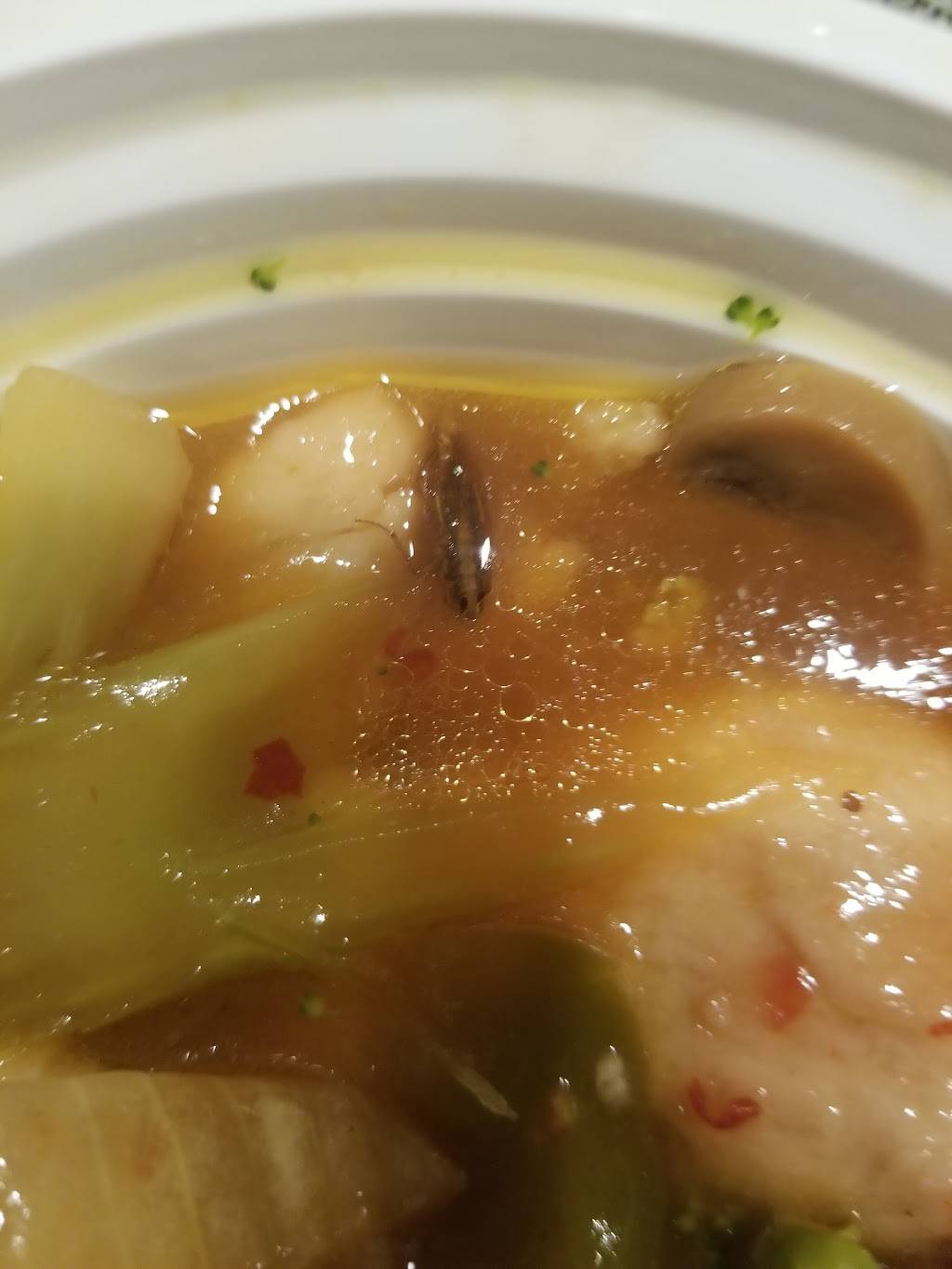 Kam Hai | restaurant | 624 Caton Ave, Brooklyn, NY 11218, USA | 7184369748 OR +1 718-436-9748