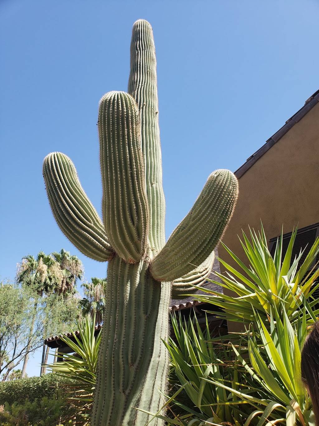 Robson Ranch Grill | restaurant | 5750 W Robson Blvd, Eloy, AZ 85131, USA | 5204263331 OR +1 520-426-3331