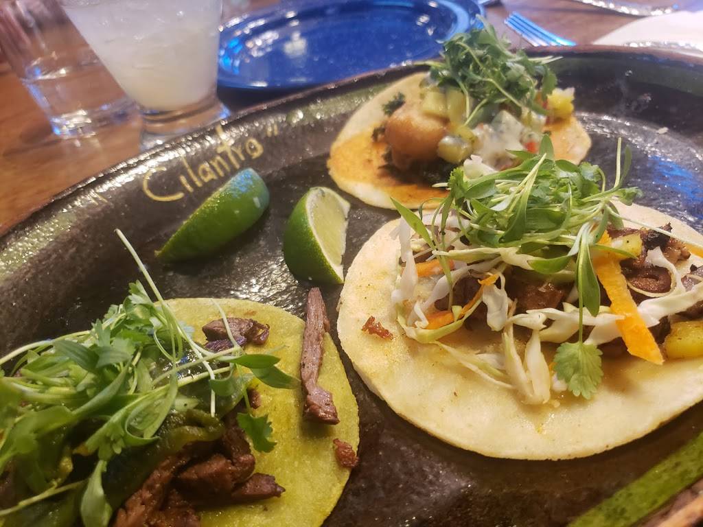 Cilantro Tacos Tequila Mezcal | restaurant | 1703 Federal Blvd, Denver, CO 80204, USA | 7206967939 OR +1 720-696-7939