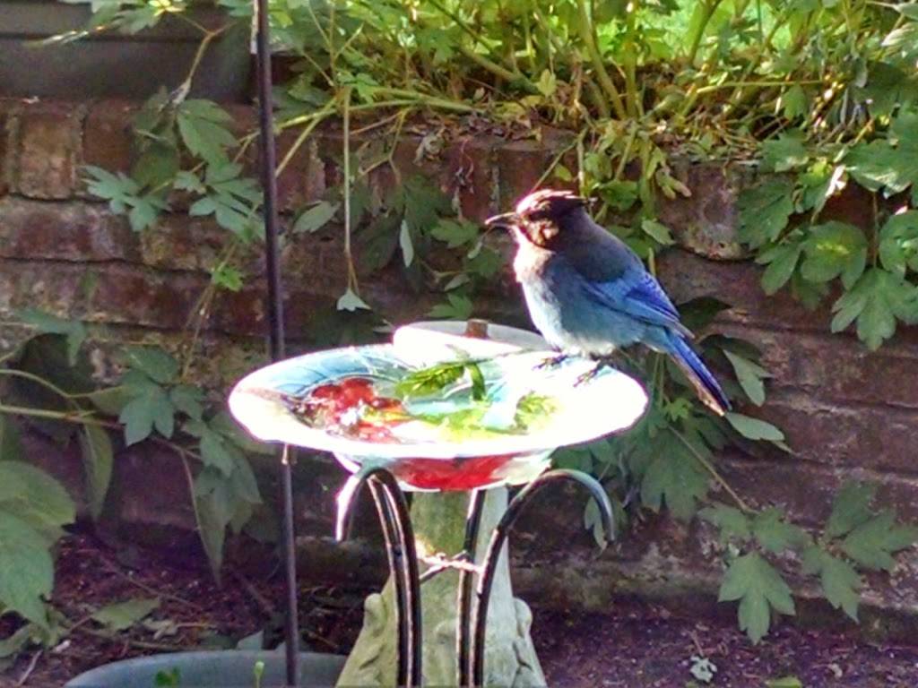 Eugene Country Club | restaurant | 255 Country Club Rd, Eugene, OR 97401, USA | 5413450181 OR +1 541-345-0181