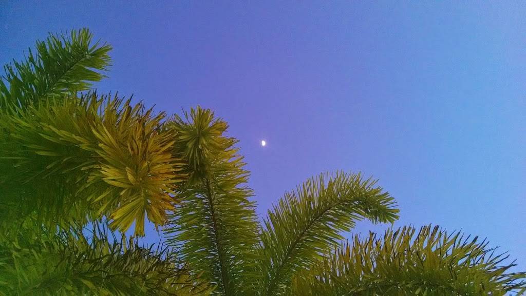 Subway Restaurants | restaurant | 2312 Hollywood Blvd, Hollywood, FL 33020, USA | 9544046260 OR +1 954-404-6260