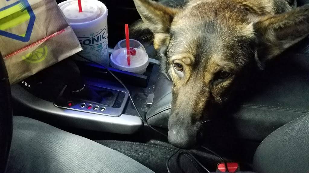 Sonic Drive-In | restaurant | 3107 Frederica St, Owensboro, KY 42301, USA | 2706885999 OR +1 270-688-5999