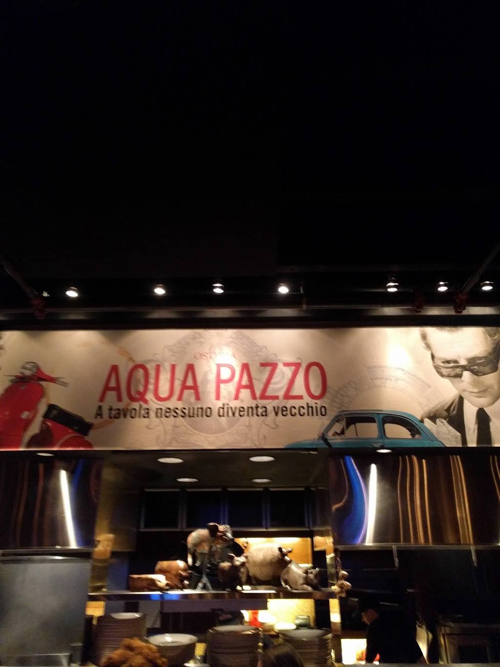 Aqua Pazzo | restaurant | 492 McClurg Rd, Youngstown, OH 44512, USA | 3309655899 OR +1 330-965-5899