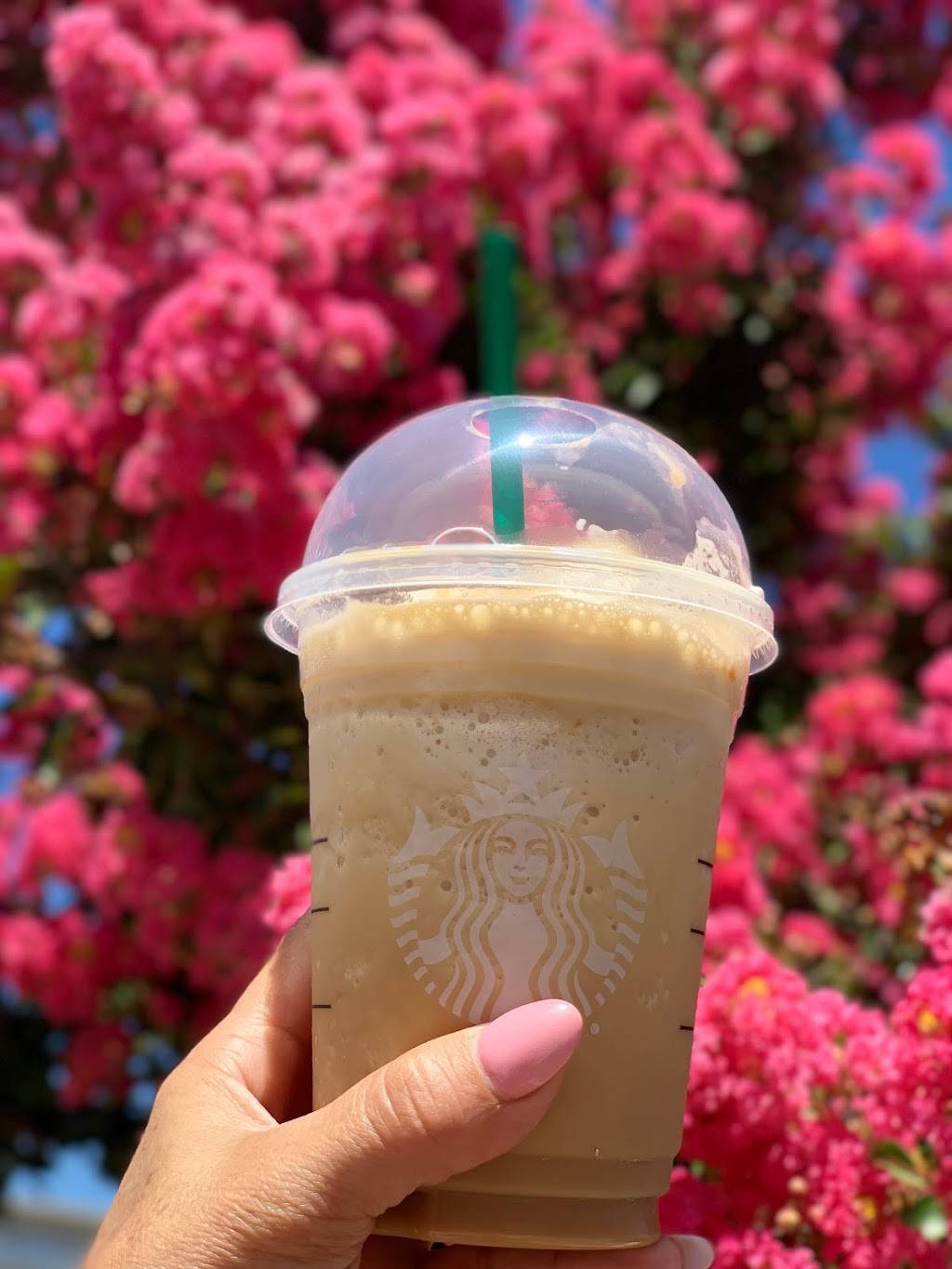 Starbucks | cafe | 1041 Capitol Expy, San Jose, CA 95121, USA | 4083624583 OR +1 408-362-4583